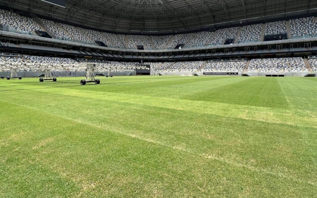 Futebol Brasileiro
